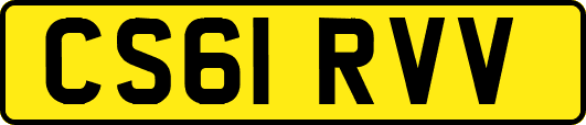 CS61RVV