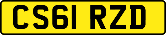 CS61RZD