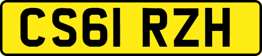CS61RZH