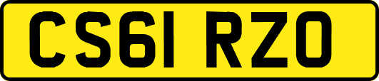 CS61RZO