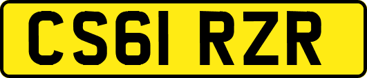 CS61RZR