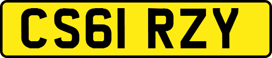 CS61RZY
