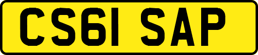 CS61SAP