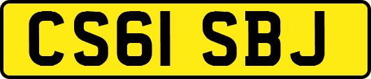 CS61SBJ