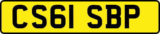 CS61SBP