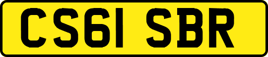 CS61SBR