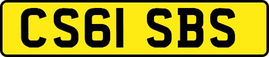 CS61SBS