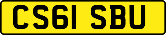 CS61SBU