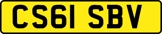 CS61SBV