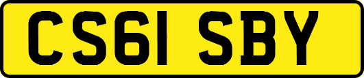 CS61SBY