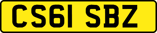 CS61SBZ