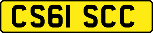CS61SCC