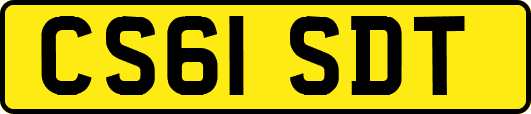 CS61SDT