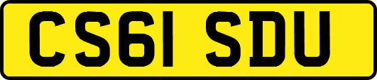 CS61SDU