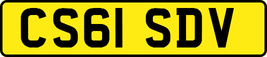 CS61SDV