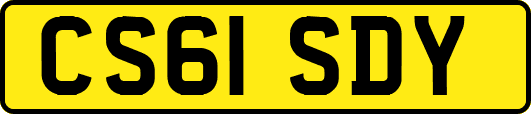 CS61SDY