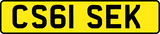 CS61SEK