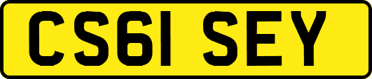 CS61SEY