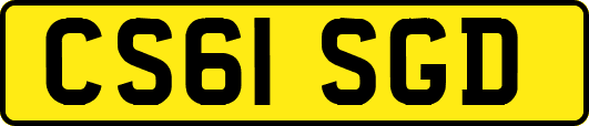 CS61SGD