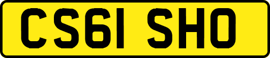 CS61SHO