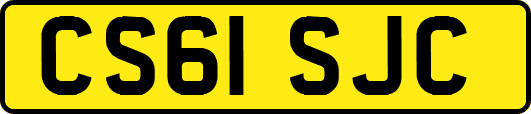 CS61SJC