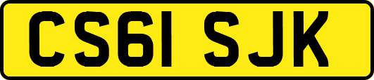 CS61SJK