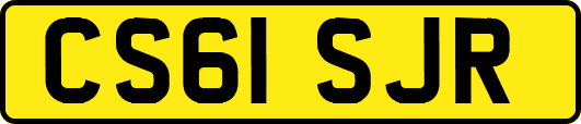 CS61SJR