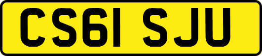 CS61SJU