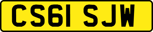 CS61SJW