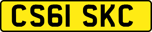CS61SKC