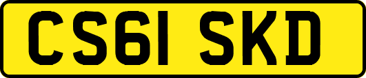 CS61SKD
