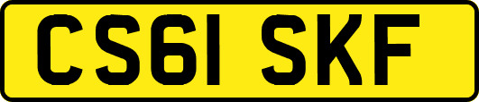 CS61SKF