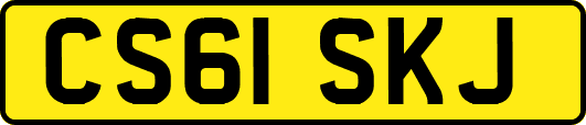 CS61SKJ