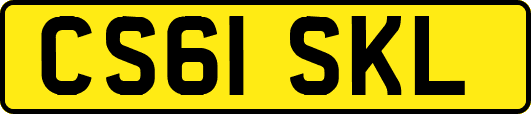 CS61SKL