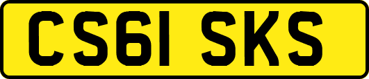 CS61SKS