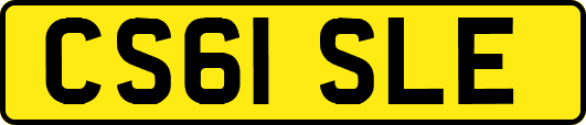 CS61SLE