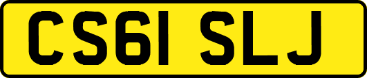 CS61SLJ