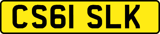 CS61SLK