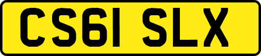 CS61SLX