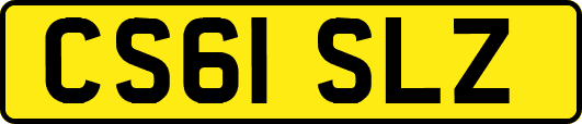 CS61SLZ