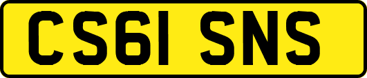 CS61SNS