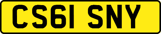 CS61SNY