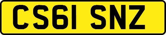 CS61SNZ