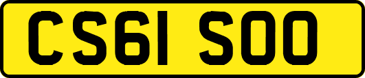 CS61SOO
