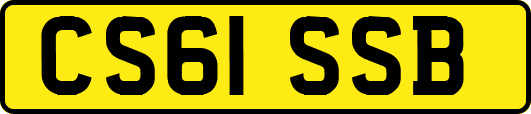 CS61SSB