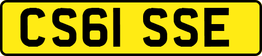 CS61SSE