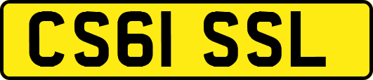 CS61SSL