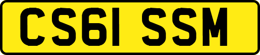 CS61SSM