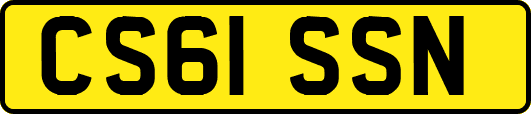 CS61SSN