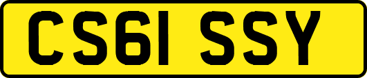 CS61SSY
